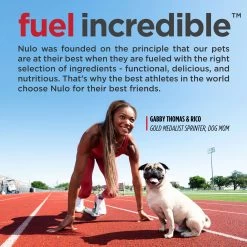 Nulo MedalSeries Small Breed All Life Stages Dry Dog Food - Salmon -Pet Essentials Shop 5300083 alt3