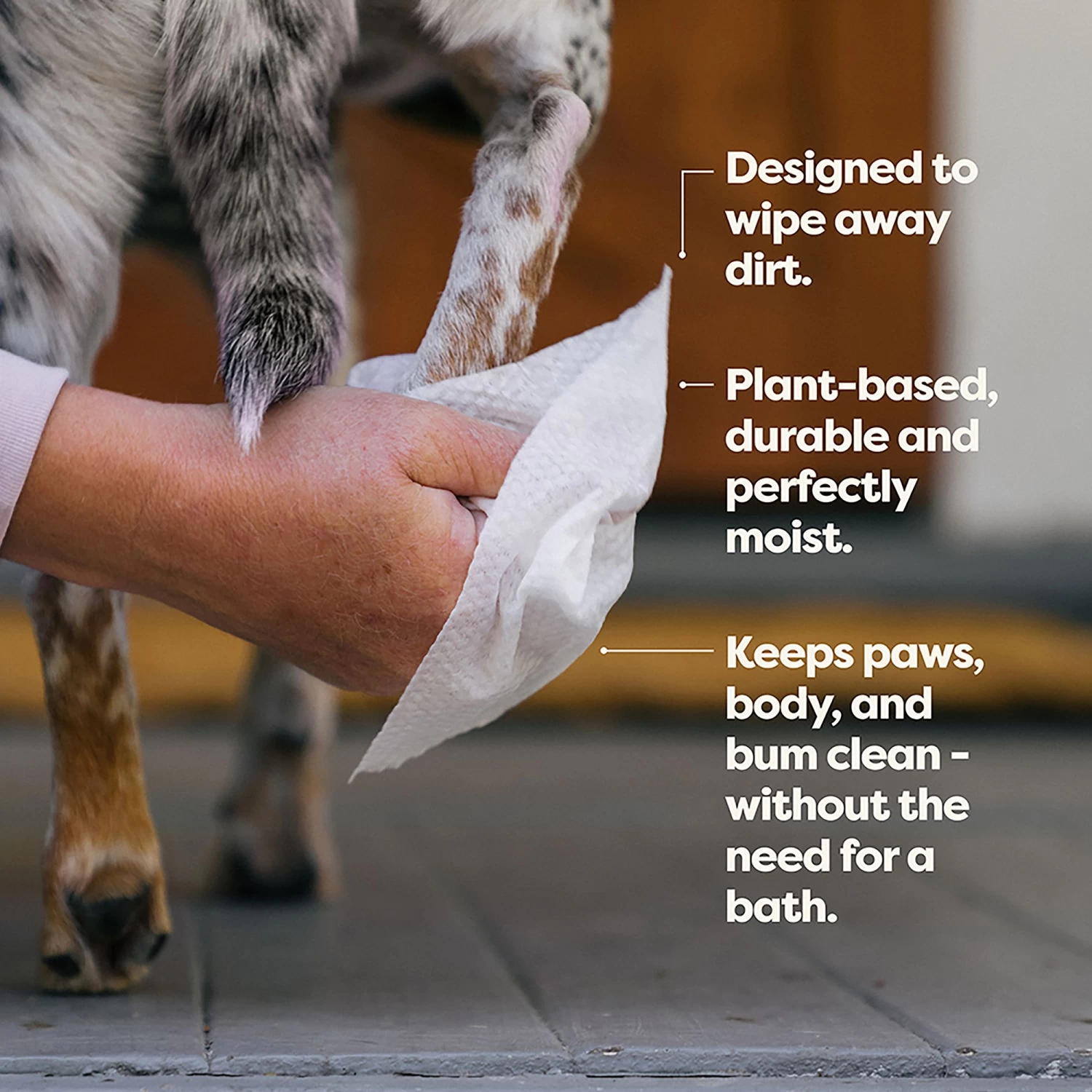 Earth Rated® Dog Grooming Wipes - Compostable & Plant-Based 4 Earth Rated® Dog Grooming Wipes - Compostable & Plant-Based - Image 4