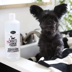 Skout's Honor® Skunk Odor Eliminator -Pet Essentials Shop 5302934 alt5