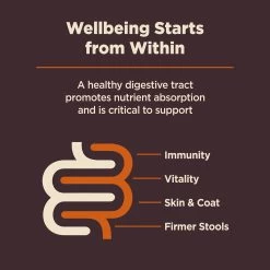 Wellness® CORE® Digestive Health Small Breed Adult Dry Dog Food - With-Grain, Chicken & Brown Rice -Pet Essentials Shop 5306045 alt6