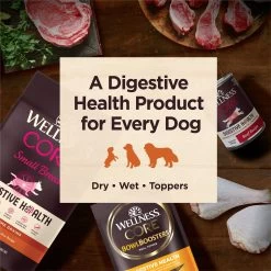 Wellness(r) CORE(r) Digestive Health All Life Stage Wet Dog Food - Grain Free, Variety Pack, 6 Count -Pet Essentials Shop 5306051 alt6