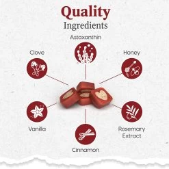 Ark Naturals® Protection Plus Brushless Toothpaste 5-in-1 Extra Small Dog Dental Chews -Pet Essentials Shop 5306223 alt5