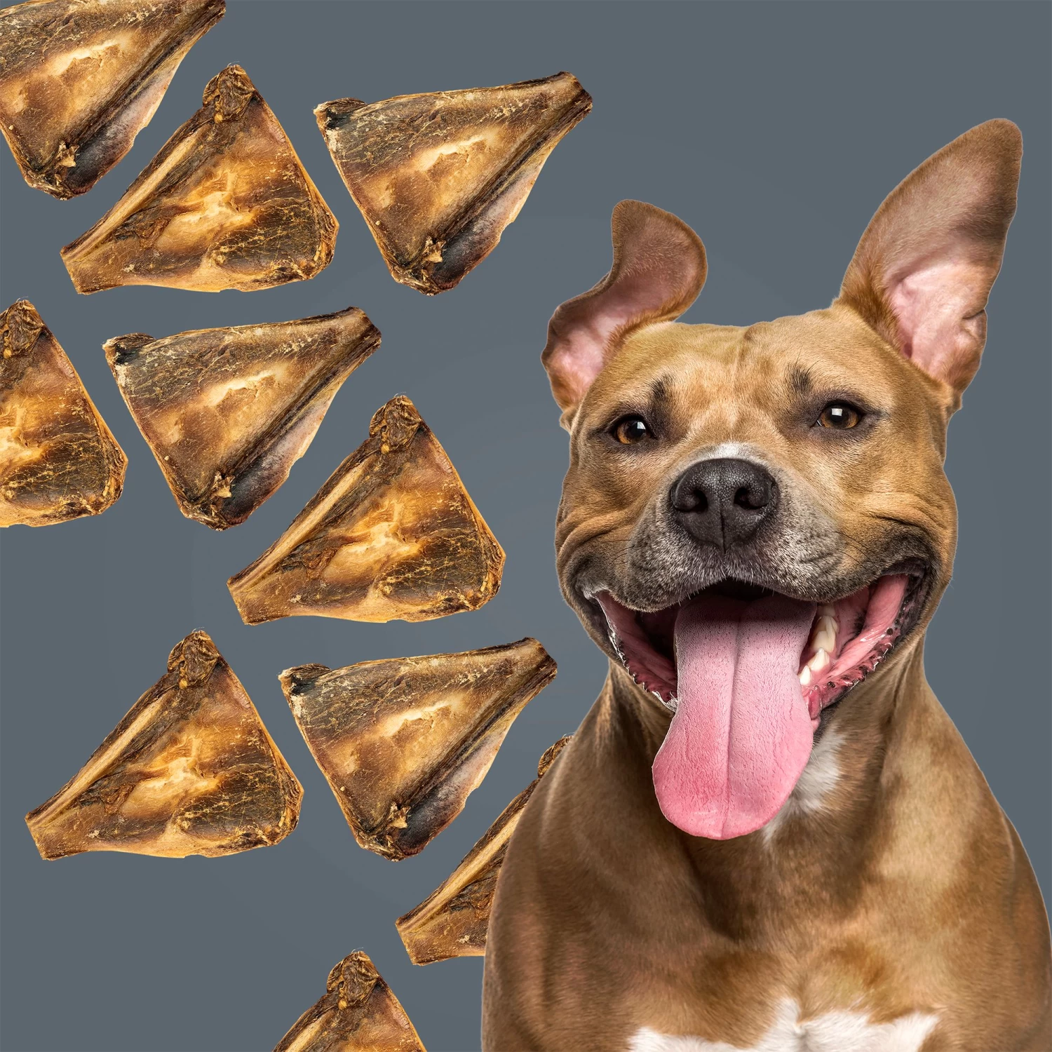 ROAM® Bucky Chucky Dog Chew Treat - Venison, 1 Count 5 ROAM® Bucky Chucky Dog Chew Treat - Venison, 1 Count - Image 5