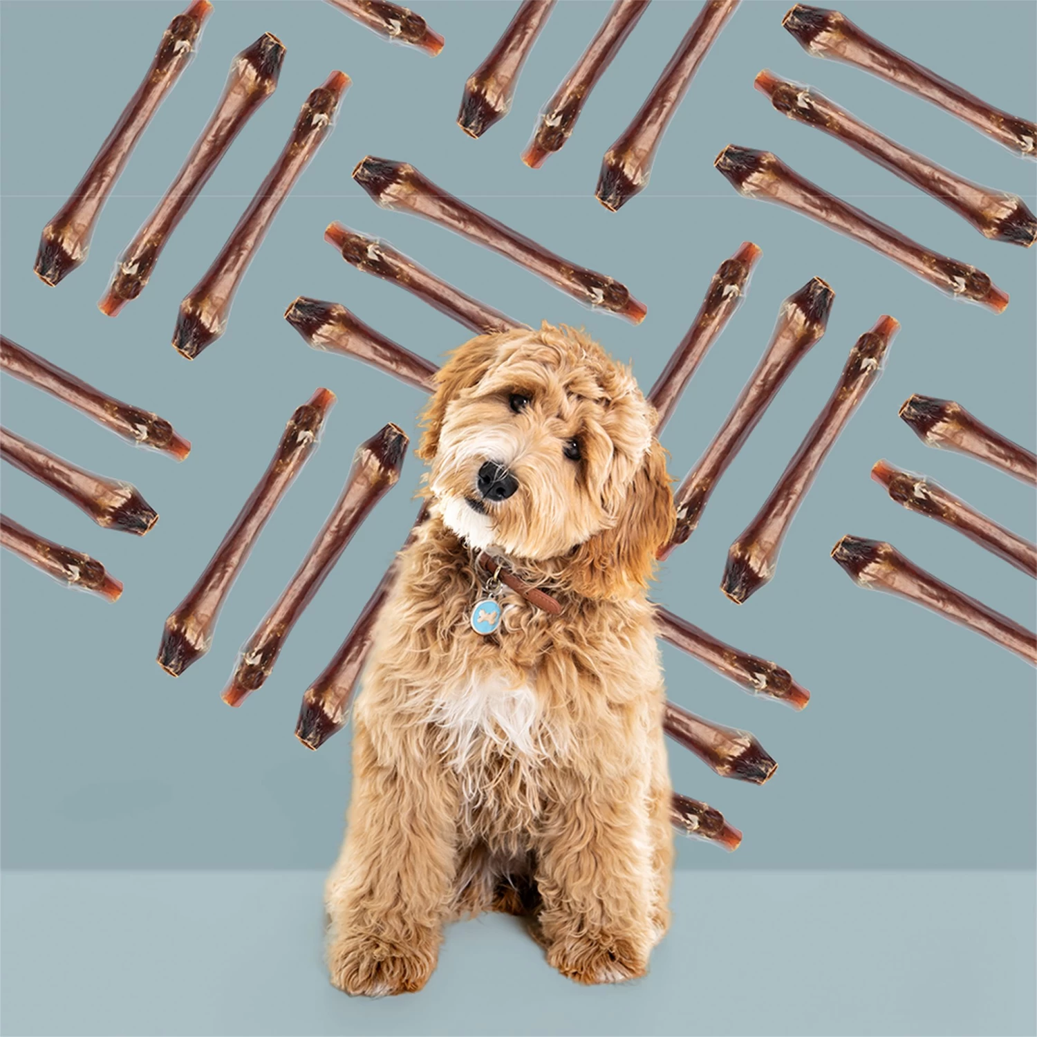 ROAM® Bucky Busy Bone Dog Treat - Grasslands Venison 5 ROAM® Bucky Busy Bone Dog Treat - Grasslands Venison - Image 5