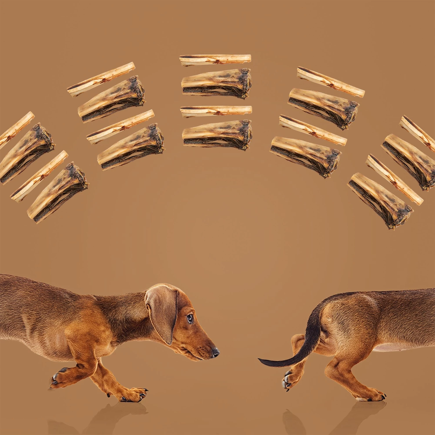 ROAM® Kanga Chew™ Dog Treat - Outback Kangaroo 5 ROAM® Kanga Chew™ Dog Treat - Outback Kangaroo - Image 5