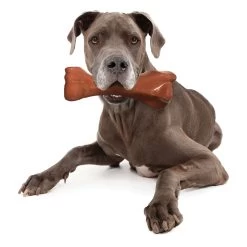 Nylabone® DuraChew® Power Chew The BIG CHEW Knuckle Bone Dog Toy - Big Bacon Flavor -Pet Essentials Shop 5308214 alt3