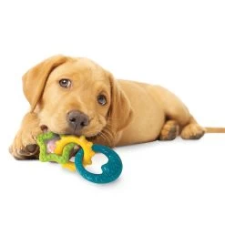 Nylabone® Power Puppy Chew Teething Ring Dog Toy - Bacon Flavor -Pet Essentials Shop 5308677 alt3