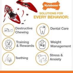 Nylabone® Power Puppy Chew Teething Ring Dog Toy - Bacon Flavor -Pet Essentials Shop 5308677 alt4