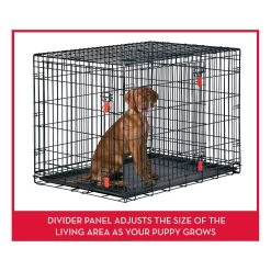 KONG Ultra-Strong Double Door Wire Dog Crate With Divider Panel -Pet Essentials Shop 5309332 alt4