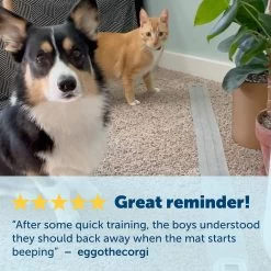 PetSafe ScatMat Indoor Pet Training Mat -Pet Essentials Shop 5309681 alt3