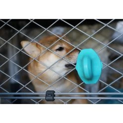 Diggs Groove Crate Training Aid -Pet Essentials Shop 5310084 alt4