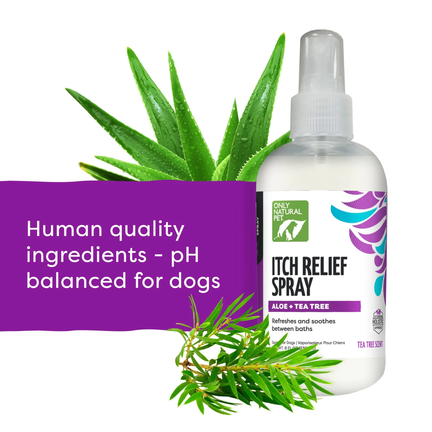 Only Natural Pet® Itch Relief Dog Spray - Aloe + Tea Tree - 8 FL Oz 3 Only Natural Pet® Itch Relief Dog Spray - Aloe + Tea Tree - 8 FL Oz - Image 3