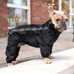 Canada Pooch Outdoor Dog Suit - Black -Pet Essentials Shop 5311869 alt3