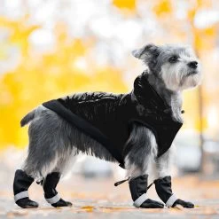 Canada Pooch Soft Shield Dog Boot - Black -Pet Essentials Shop 5311894 alt3