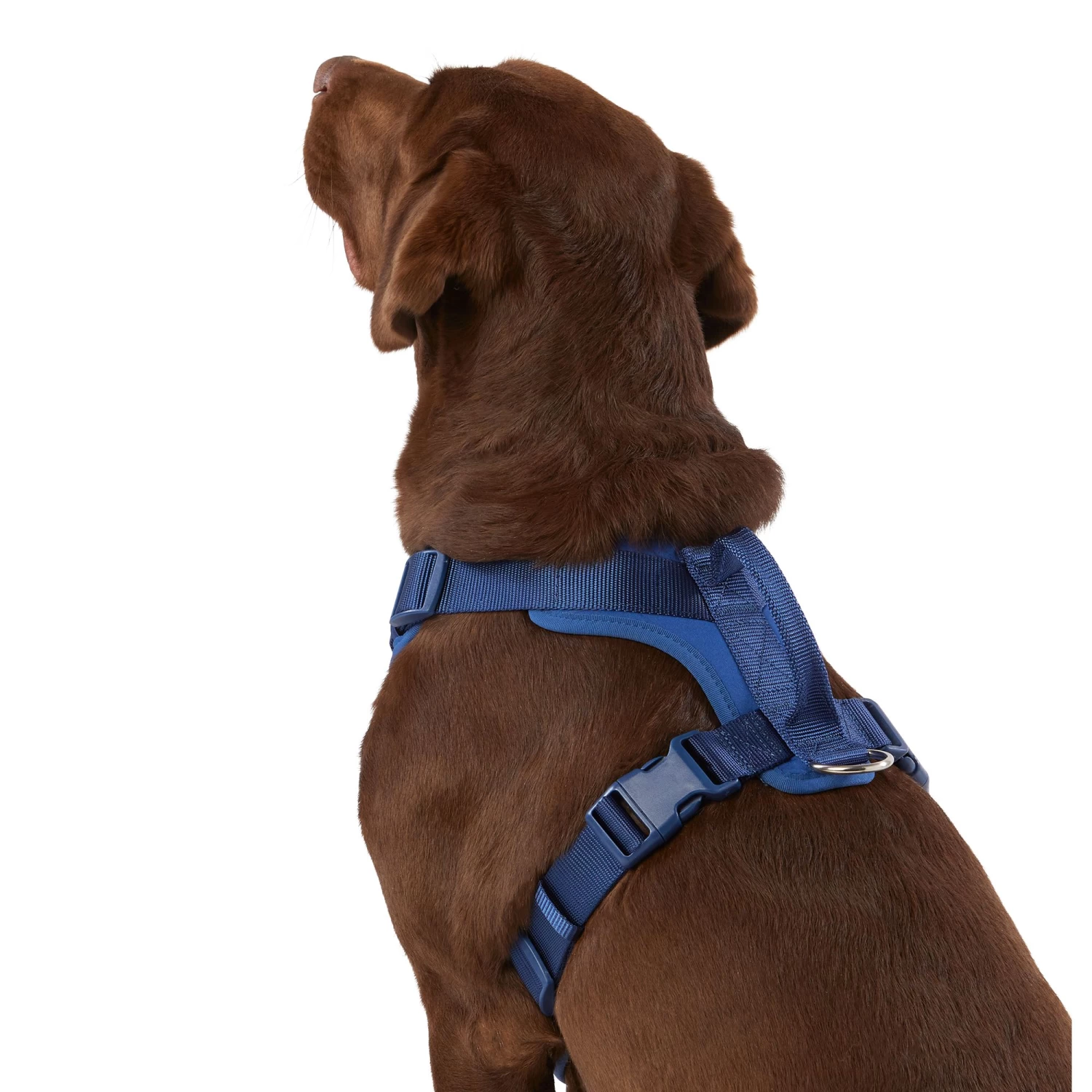 Top Paw® Neoprene Comfort Dog Harness 2 Top Paw® Neoprene Comfort Dog Harness - Image 2
