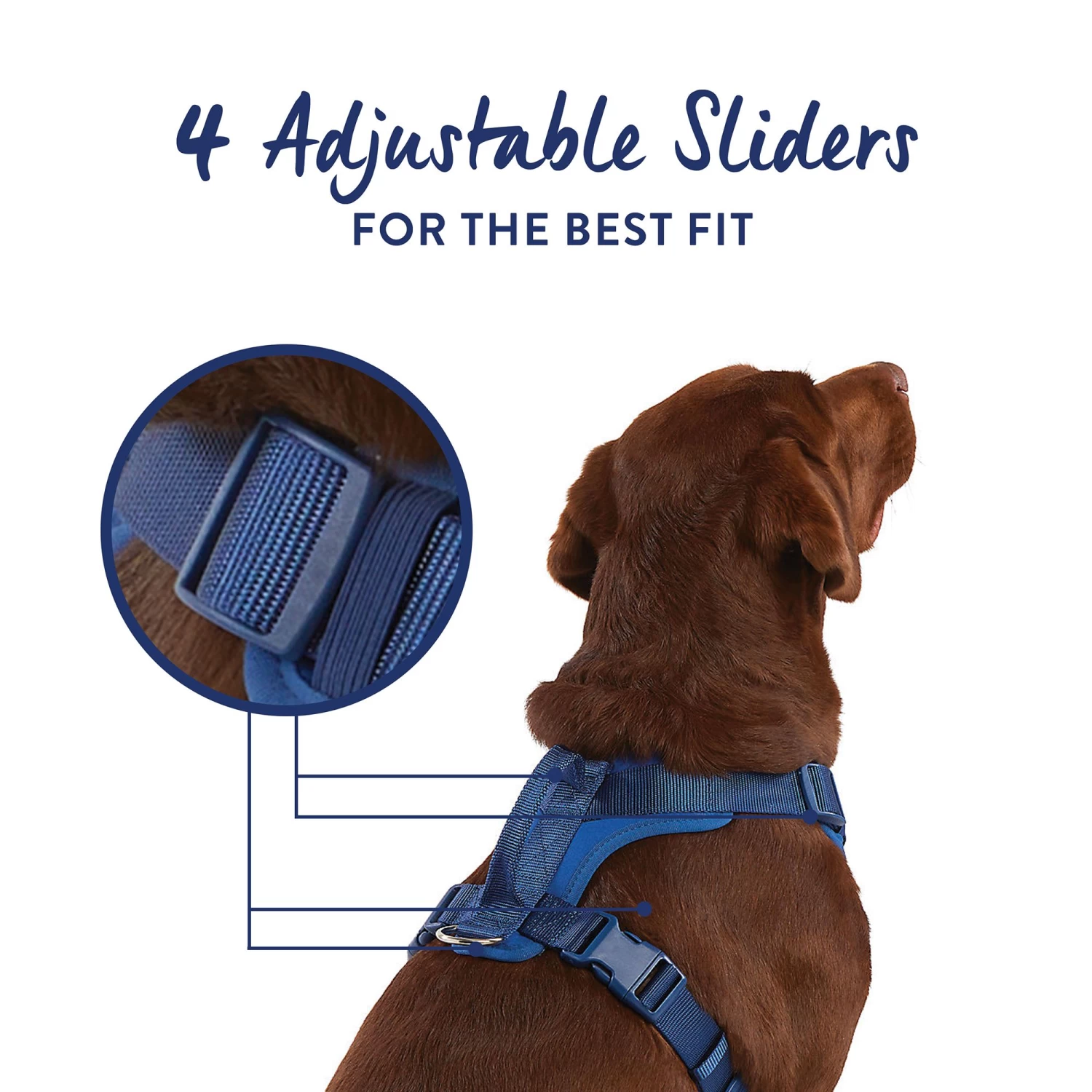 Top Paw® Neoprene Comfort Dog Harness 4 Top Paw® Neoprene Comfort Dog Harness - Image 4