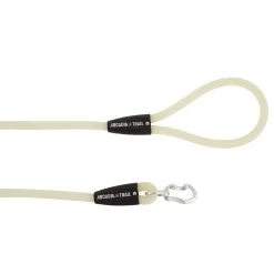 Arcadia Trail™ Stink-Free Glow-in-the-Dark Waterproof Dog Leash: 4-ft Long