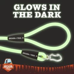 Arcadia Trail&trade; Stink-Free Glow-in-the-Dark Waterproof Dog Leash: 4-ft Long -Pet Essentials Shop 5312598 alt2