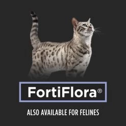 PURINA PRO PLAN Purina® Pro Plan® Veterinary FortiFlora Probiotic Dog Supplement -Pet Essentials Shop 5313502 alt2