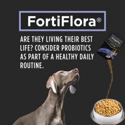 PURINA PRO PLAN Purina® Pro Plan® Veterinary FortiFlora Probiotic Dog Supplement -Pet Essentials Shop 5313502 alt4