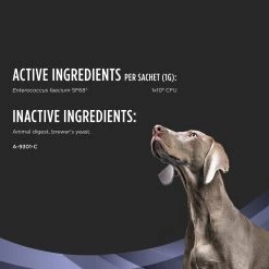 PURINA PRO PLAN Purina® Pro Plan® Veterinary FortiFlora Probiotic Dog Supplement -Pet Essentials Shop 5313502 alt6
