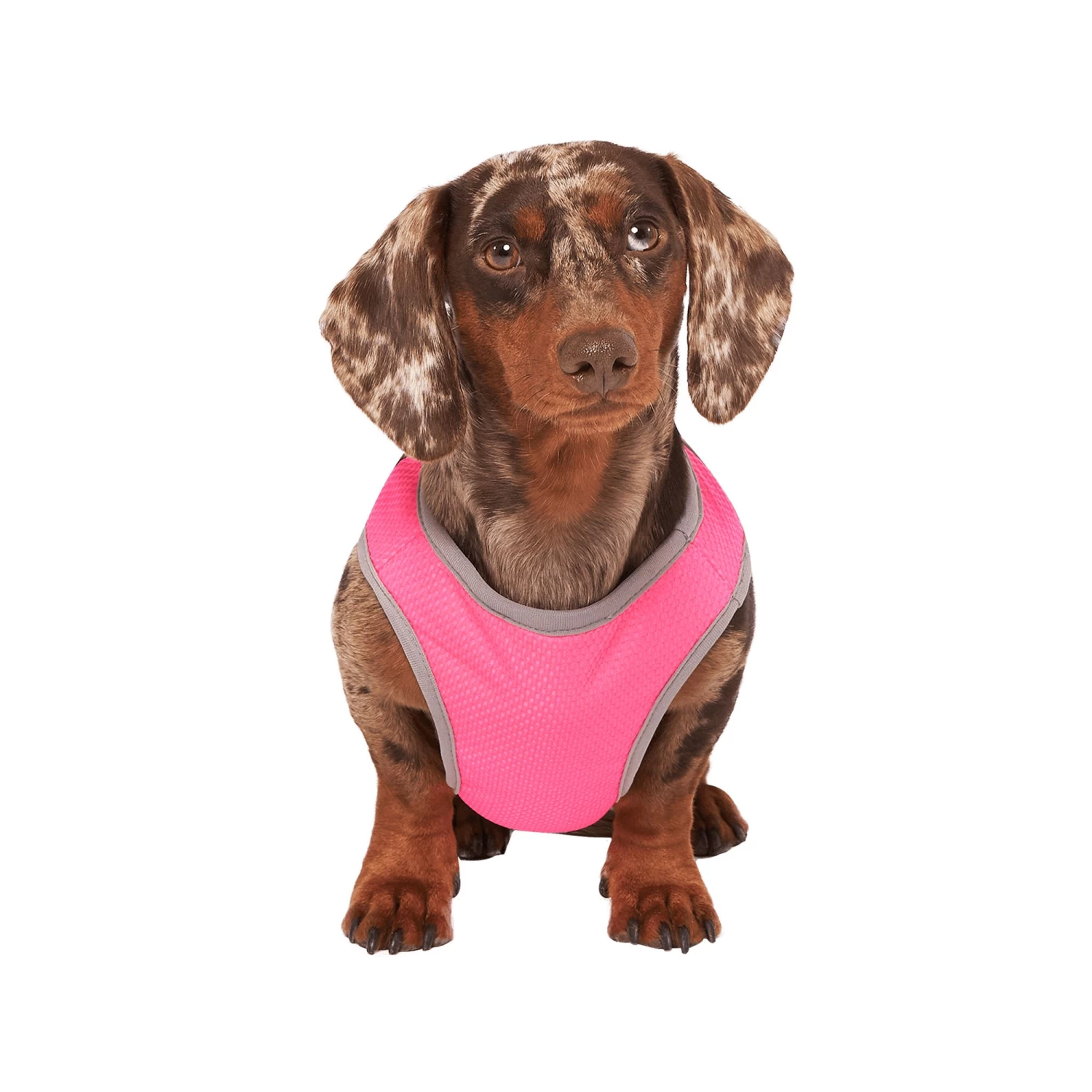 Canada Pooch Cooling Vest - Pink 1 Canada Pooch Cooling Vest - Pink