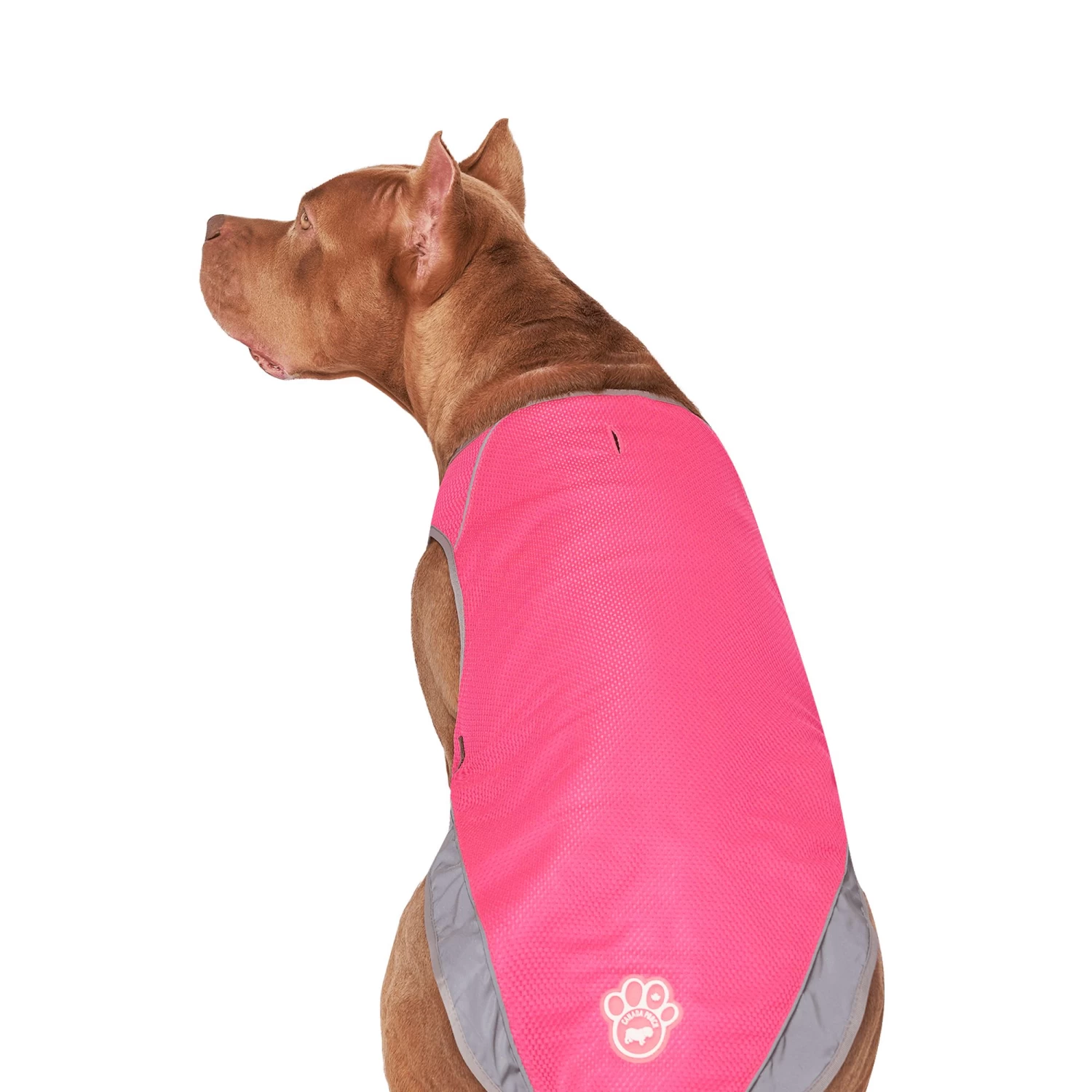Canada Pooch Cooling Vest - Pink 3 Canada Pooch Cooling Vest - Pink - Image 3