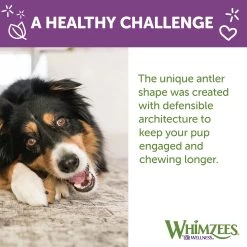 Whimzees Occupy Long Lasting Small Dog Chews - Rawhide Free, Vegetable -Pet Essentials Shop 5322515 alt3