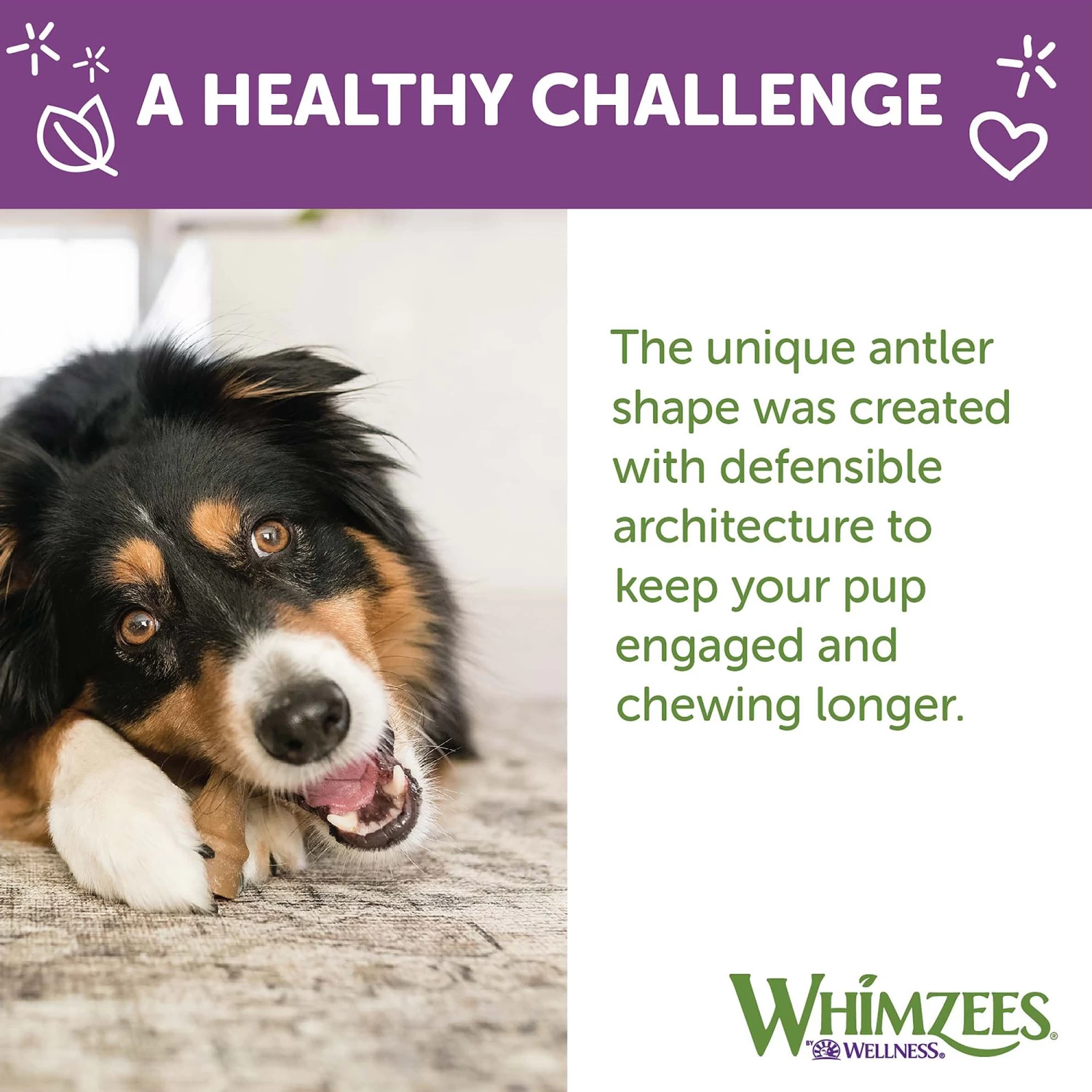 Whimzees Occupy Long Lasting Medium Dog Chews - Rawhide Free, Vegetable 4 Whimzees Occupy Long Lasting Medium Dog Chews - Rawhide Free, Vegetable - Image 4