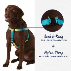 Top Paw® Yellow & Blue Ombre Dog Harness -Pet Essentials Shop 5323408 alt2