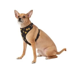 Top Paw® Smiley Face Dog Harness