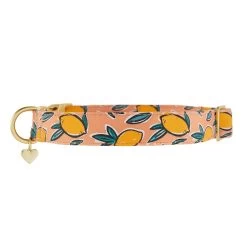 Top Paw® Lemon Print Comfort Neoprene Dog Collar -Pet Essentials Shop 5323513 alt2