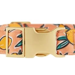 Top Paw® Lemon Print Comfort Neoprene Dog Collar -Pet Essentials Shop 5323513 alt3