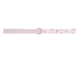 Top Paw® Pink Peony Dog Leash: 4-ft Long, 1-in Wide
