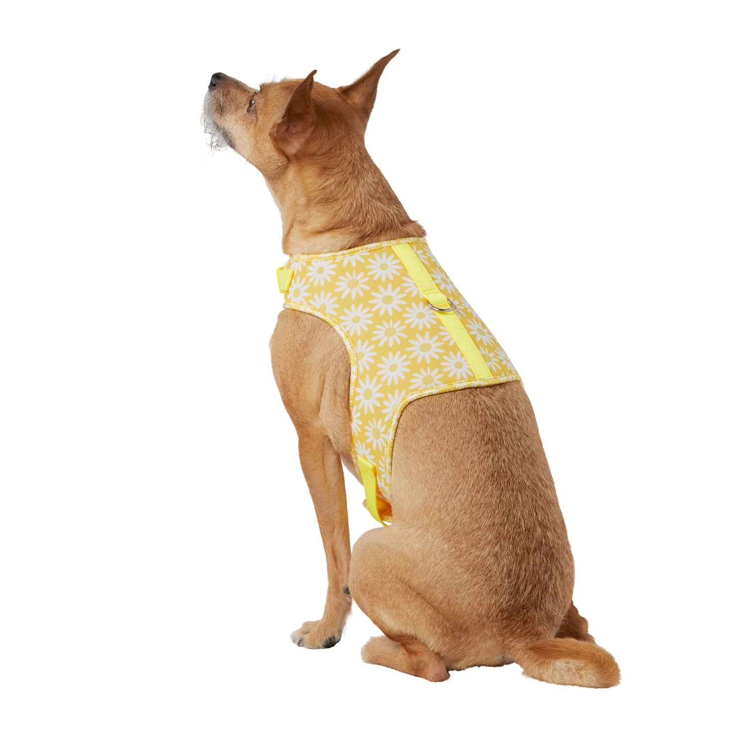 Top Paw® Daisy Vest Dog Harness 1 Top Paw® Daisy Vest Dog Harness