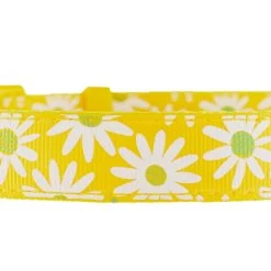Top Paw® Yellow Daisy Poly Blend Dog Collar -Pet Essentials Shop 5323566 alt4