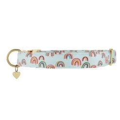 Top Paw® Blue Rainbow Comfort Neoprene Dog Collar -Pet Essentials Shop 5323570 alt2