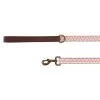 Top Paw® Pink And Black Zig Zag Dog Leash: 4-ft Long, 1-in Wide