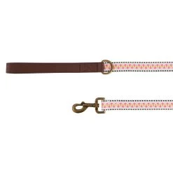 Top Paw® Pink And Black Zig Zag Dog Leash: 4-ft Long, 1-in Wide