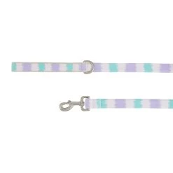 Top Paw® Teal & Purple Striped Dog Leash: 4-ft Long, 1-in Wide