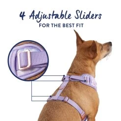 Top Paw® Purple Cheetah Dog Harness -Pet Essentials Shop 5323635 alt3
