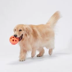 Joyhound Chew Well Ball Treat Dispenser Dog Toy -Pet Essentials Shop 5323845 alt2