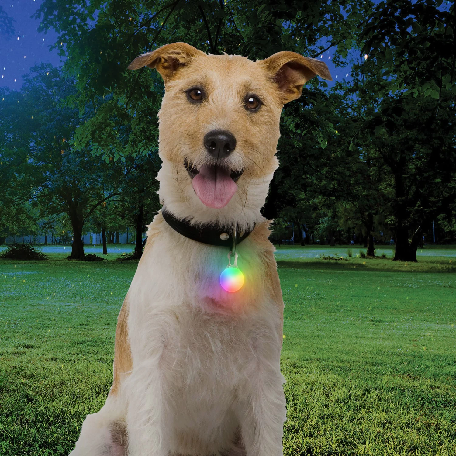 Nite Ize® Spotlit® Rechargeable Collar Light With Disc-O Tech™ 2 Nite Ize® Spotlit® Rechargeable Collar Light With Disc-O Tech™ - Image 2