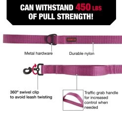 KONG® Comfort Traffic Dog: 6-ft Long 7 KONG® Comfort Traffic Dog: 6-ft Long -Pet Essentials Shop 5324731 alt2