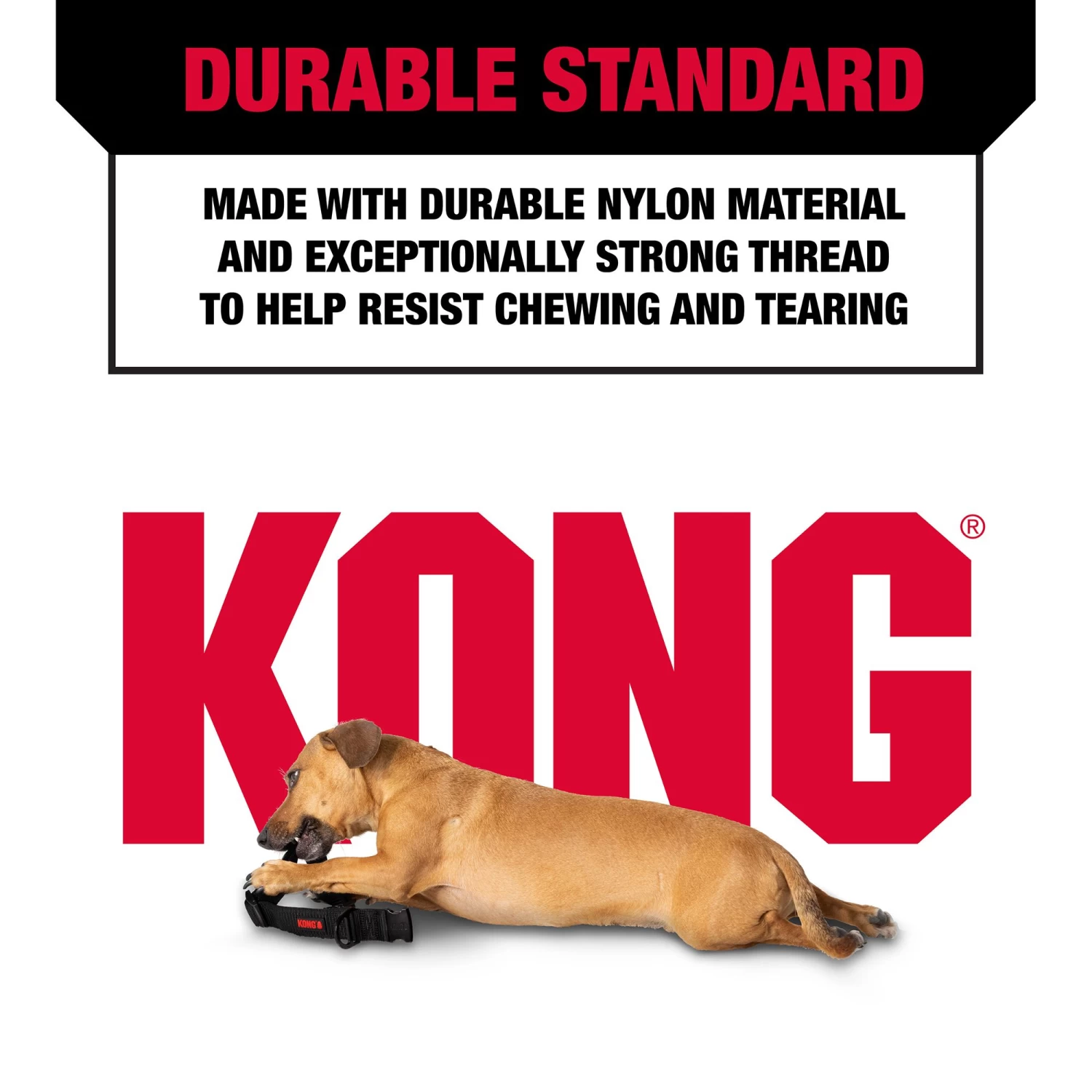 KONG® Comfort Traffic Dog: 6-ft Long 4 KONG® Comfort Traffic Dog: 6-ft Long - Image 4