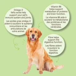 Cookie Pal All Life Stages Dog Biscuits - Gluten Free, 300g -Pet Essentials Shop 5326489 alt4