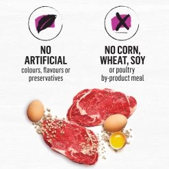 Purina Beyond Adult Dry Dog Food - Beef, Barley & Egg -Pet Essentials Shop 5326579 alt5