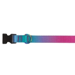 Top Paw® Pink & Teal Ombre Dog Collar