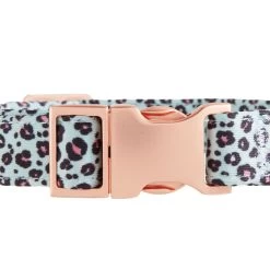 Top Paw® Teal Cheetah Neoprene Adjustable Dog Collar -Pet Essentials Shop 5327141 alt4