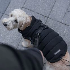 Canada Pooch 2-in-1 Dog Harness Puffer Jacket - Black -Pet Essentials Shop 5330585 alt3